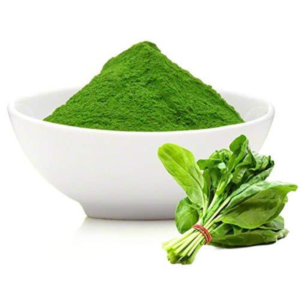 Palak Powder